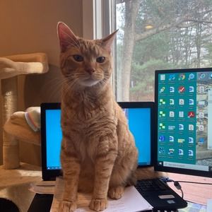 Meet your Posher, Nick